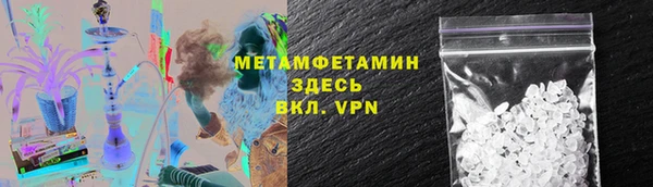 прущие грибы Богородск