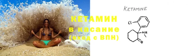 трава Аркадак