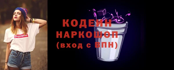 соль ск Арсеньев