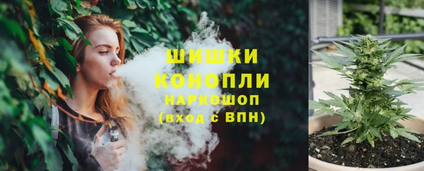трава Аркадак