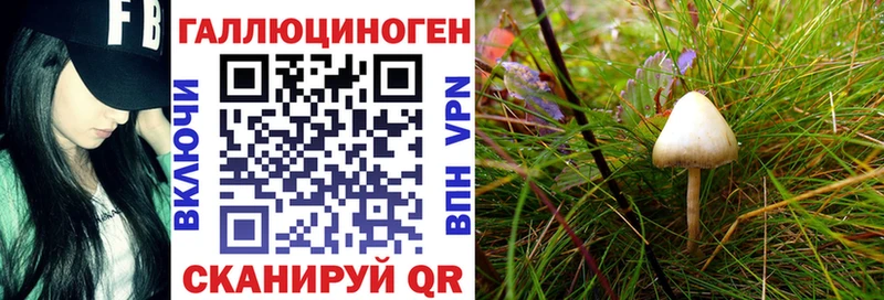 Галлюциногенные грибы мицелий  Колпашево 